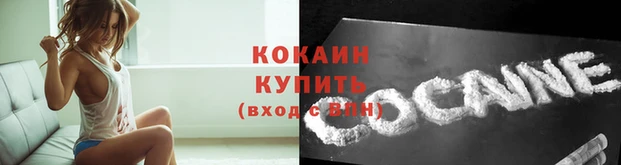 эйфоретик Богданович