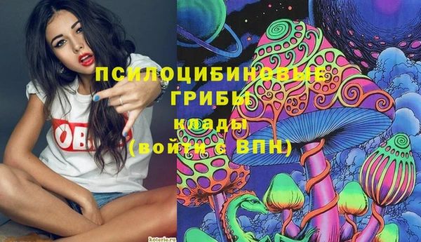 эйфоретик Богданович