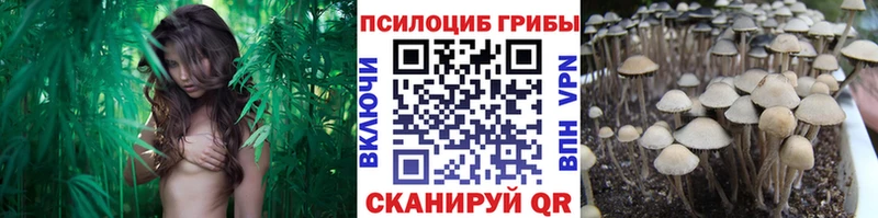 как найти закладки  Петухово  Псилоцибиновые грибы мухоморы 